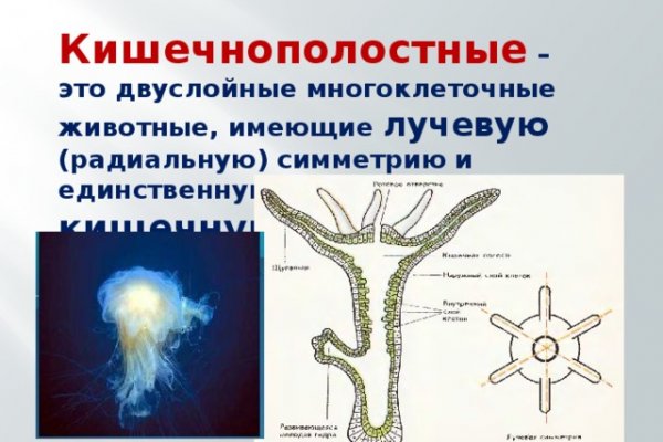 Kraken market зеркала